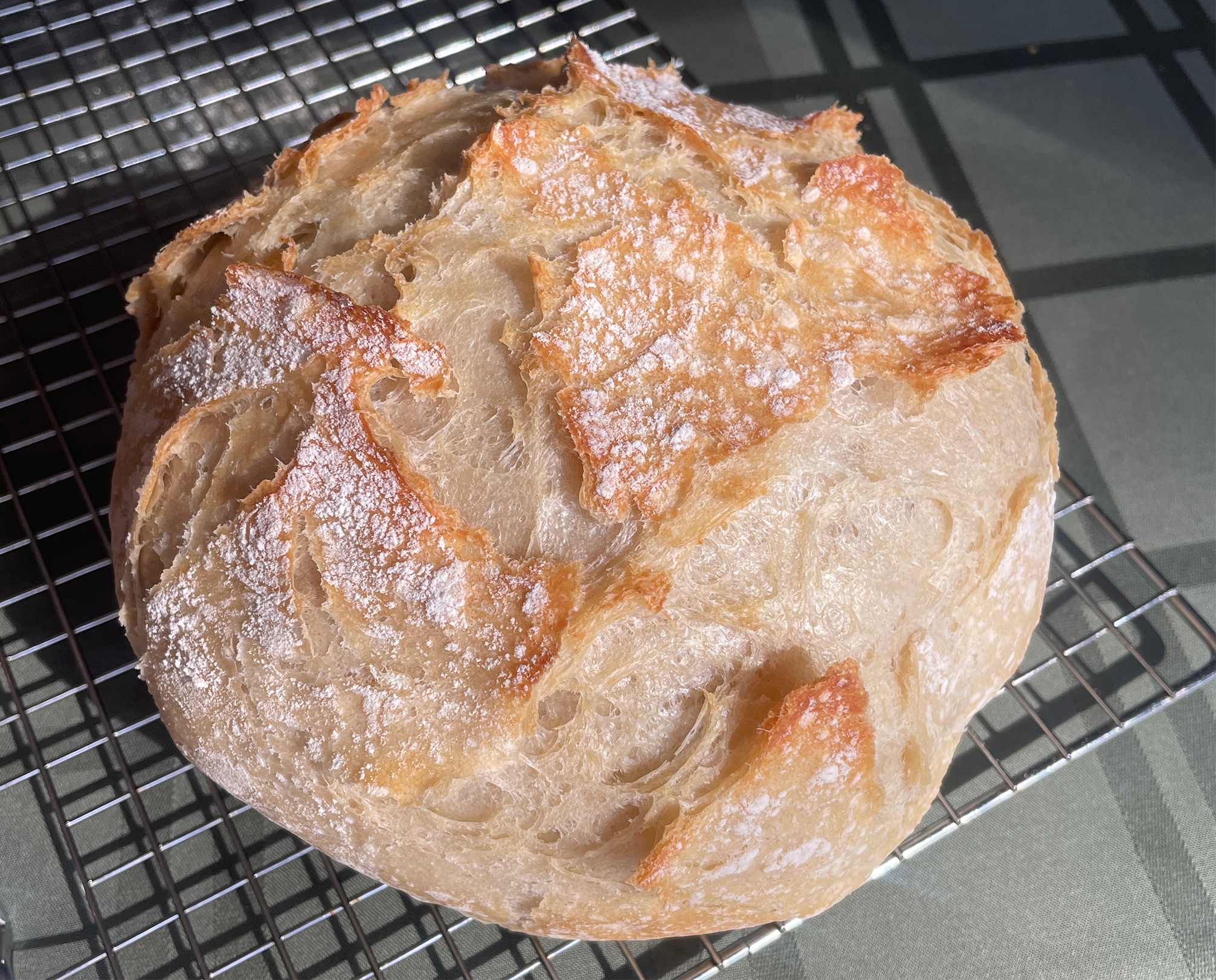 Baking